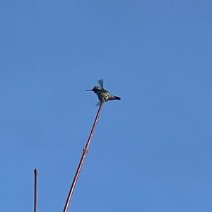 Meet your Posher, Camille